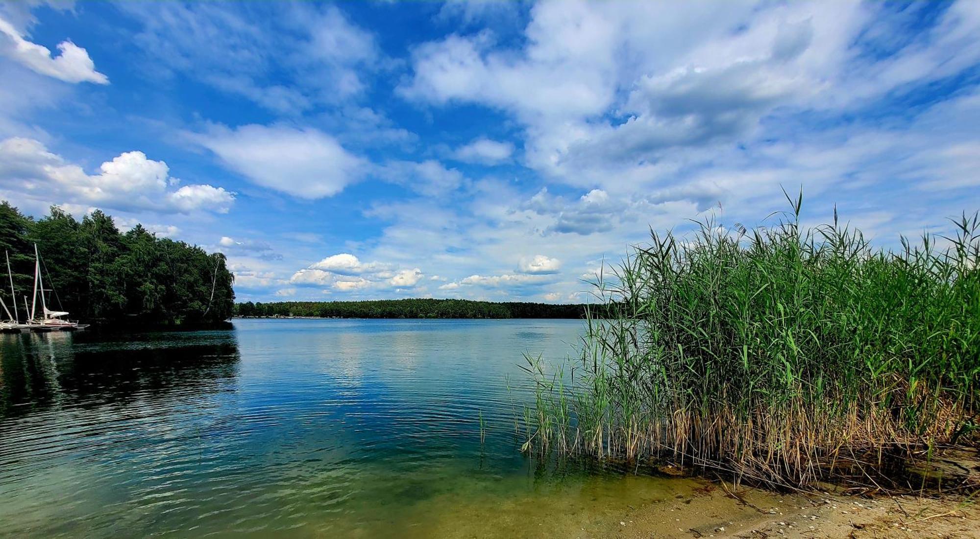 Ferienwohnung Seeglueck Im Oberpfaelzer Seenland Schwandorf in Bayern Eksteriør bilde